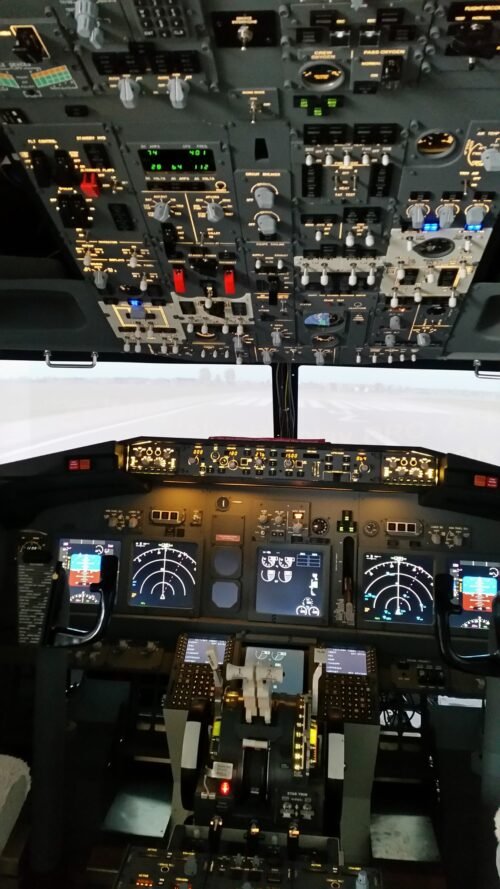 Experience flight basic  (45min)